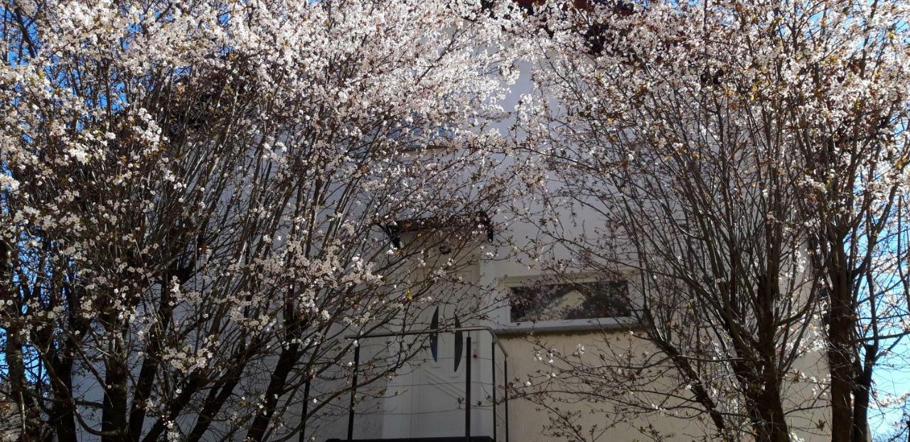 شقة Apple Tree زغرب المظهر الخارجي الصورة